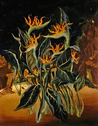 Strange Flowers