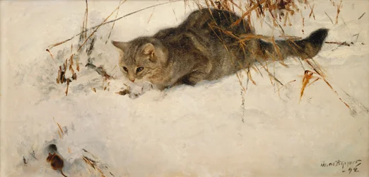 A Cat Stalking a Mouse in the Snow