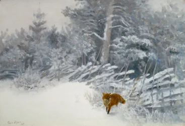 A Fox in Winter Woods