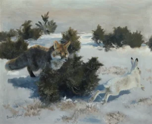 Fox and Hare