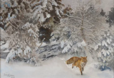 Fox in Winter Landscape
