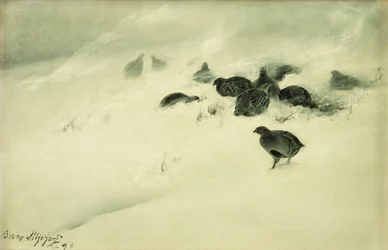 Grouse in a Snow Storm