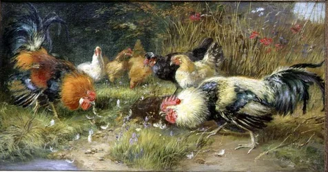 Poultry in a Landscape