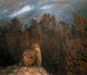 The Owl Deep in the Forest