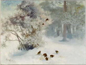 Feeding Birds in the Snow