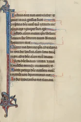 Initial I: A Bird Feeding its Young and a Bird in Flight