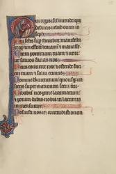 Initial O: God Tending the Vineyard