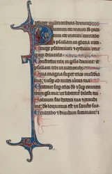 Initial P: David Addressing a Group