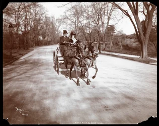 Anna Held and Florenz Ziegfeld driving a horsedrawn carriage, New York, 1904