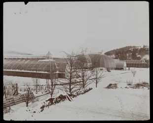 The Greenhouses in the Snow at the Helen Gould Estate (late Jay Gould Residence) at Tarrytown, New York, 1894