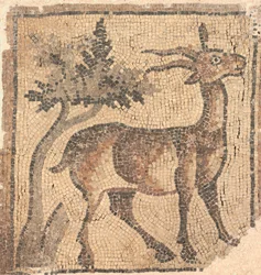 Ram near a Tree