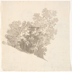 Tree Group