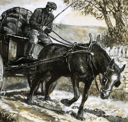 Horses were underfed and overworked