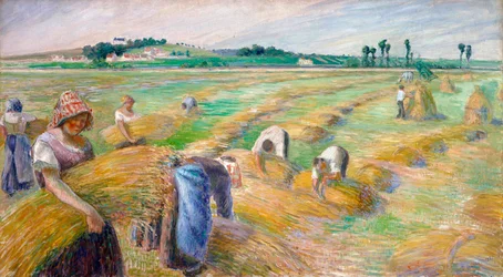 The Harvest