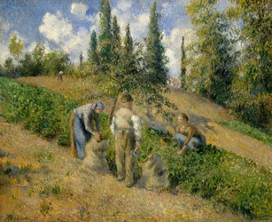 The Harvest, Pontoise