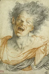 A Young Man Shouting