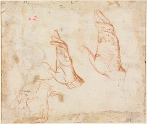 Study of Hands (verso)