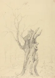 In Lord Yarborough