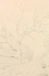 On the Whippingham Road, Isle of Wight