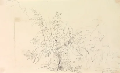 Sketch of Plants and a Milestone from Nature, 3 June 1826