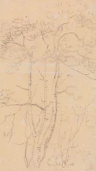 Sketch of Trees, Shorwell, Isle of Wight