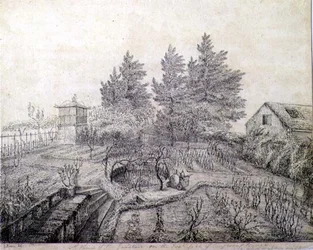 A View of Napoleon I