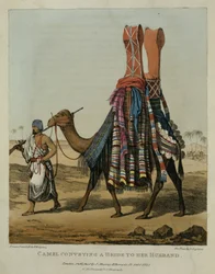 Camel Conveying a Bride to Her Husband, Engraved by Denis Dighton, Plate 16 from 
