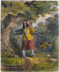 Indian Women Procuring Fuel, 1853