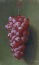 Still Life with Grapes