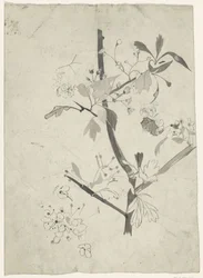Branch with Blossom