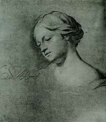 Female Head Study