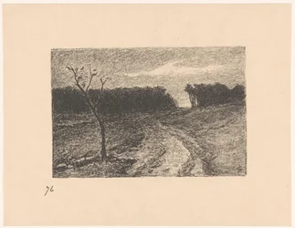 Forest Edge