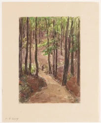 Forest Path Through the Hills at Baden-Baden