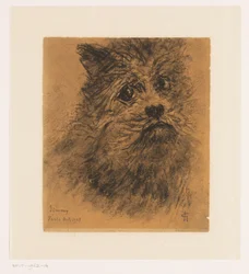 Portrait Study of Dog Jimmy