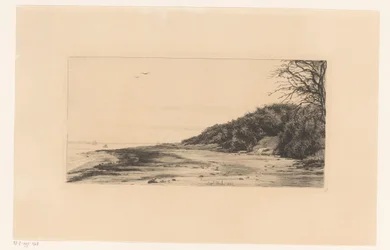 Forest Edge Along Water