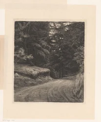 Forest Road