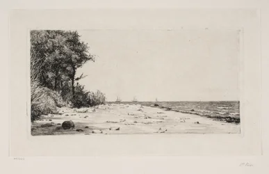 From the North Coast of Zealand. Hornbæk Plantation
