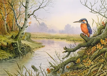 Kingfisher: Autumn River Scene