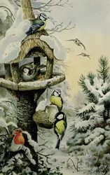 Winter Bird Table with Blue Tits, Great Tits, House Sparrows and a Robin
