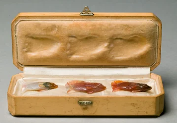 Set of Three Fish in Original Box, c.1890