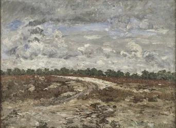 Wild Country in the Forest of Fontainebleau