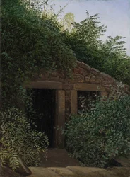 An Overgrown Mineshaft