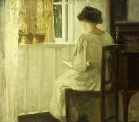 A Woman Reading in a Sunlit Interior