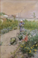 In the Kitchen Garden