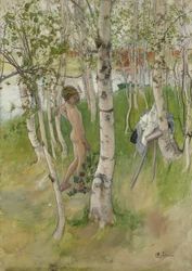 Nude Boy among Birches, 1898
