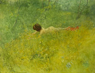 On the Grass, 1902
