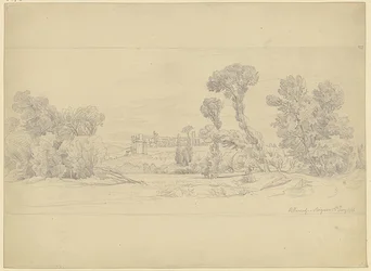 Tree Study from the Area of Villeneuve near Avignon