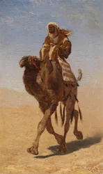 Camel Rider