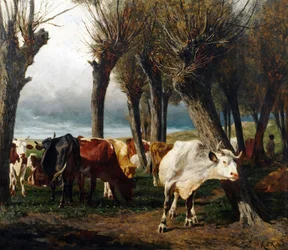Cattle Herd under Willow Trees