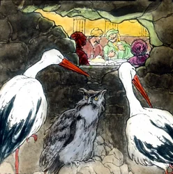 Caliph stork, image date: circa 1910, Carl Simon Archive